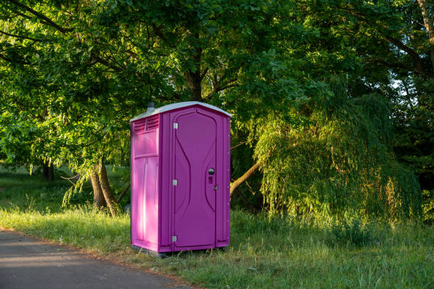 Best Sanitation services for porta potties  in South Chicago Heights, IL